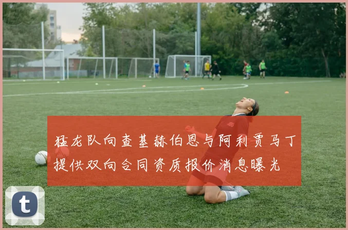 猛龙队向查基赫伯恩与阿利贾马丁提供双向合同资质报价消息曝光